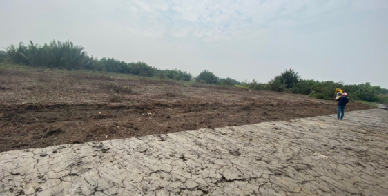 Đất dân gửi bán 4 lô đất diện tích 1000m2 đường ô tô vào tận đất