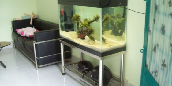 Cho thuê nhà nguyên căn Quận 12, Tô Ngọc Vân, P. Thạnh Xuân - 5,5tr/tháng