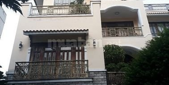 Bán biệt thự đường Huỳnh Tấn Phát, gần Phú Mỹ Hưng, Quận 7, giá 50 tỷ