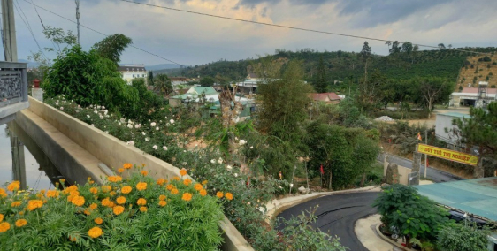 Bán gấp đất 233m2 full thổ cư mặt tiền đường 8m ở Tp. Bảo Lộc