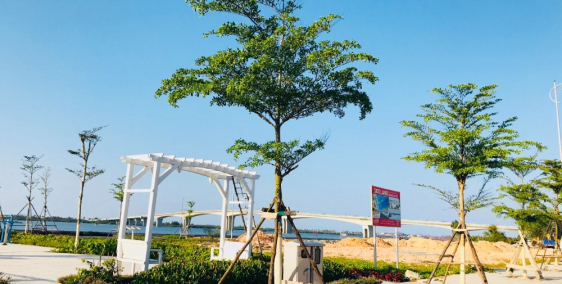 Nhà phố đã có sổ thanh toán tận 14 đợt gần RÙNG DỪA 7 MẪU