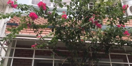 Bán nhà 49m2 Hẻm xe tải Tân Kỳ Tân Quý chỉ 4.65 tỷ