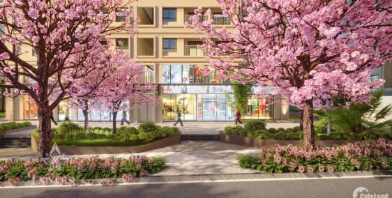 Căn 3PN 81m2. View HỒ BƠI BIÊN HÒA UNIVERSE  27tr/m2.Tặng xe hơi+3 chỉ vàng. LH