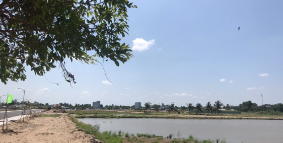 Đầu tư phát triển bất động sản