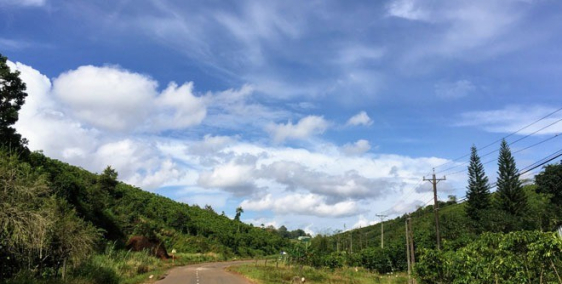 Diện tích 5*23=105m2 bán nhanh giá rẻ - chính chủ