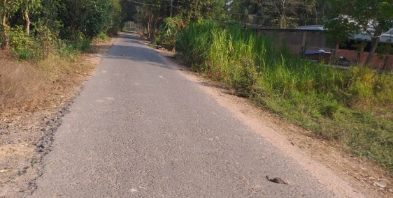 Bán đất thổ cư đường nhựa 8m gần trường tiểu học
