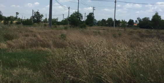 Đất thổ cư MT 826 gần Chợ Đào đã có sổ hồng