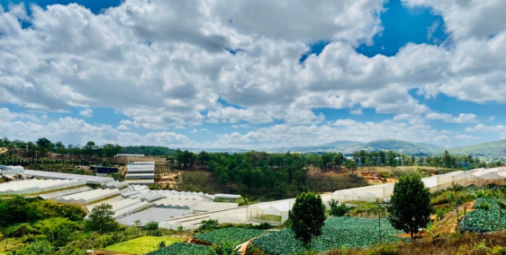 Bán đất Măng Lin P7, Đà Lạt. Diện tích 200m2, đường xe hơi quay đầu. SHR