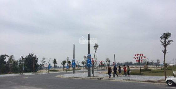 NHANH TAY GIỮ CHỔ ĐẤT NỀN VEN SÔNG CỔ CÒ GẦN BIỂN 800M DT100M2