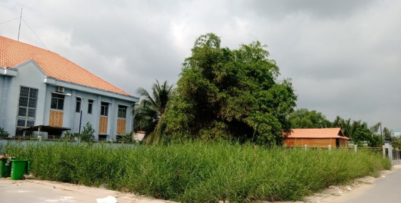 Chính chủ bán nền thổ cư KDC Qui Đức - Bình Chánh, đã có sổ hồng.