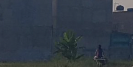 Cần tiền bán gấp 296m ,  TC100%