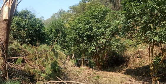 cần bán đất thị ytraasn Na Dương, Huyện Lộc Bình, Lạng Sơn