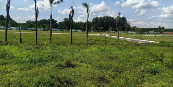 Đất thổ cư chính chủ 100%, sổ sách dầy đủ. Gần chợ, trường học và bệnh viện.