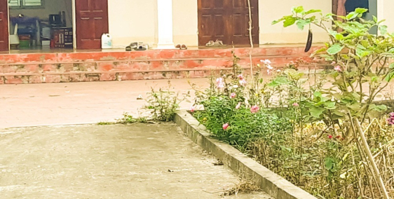 Bán Gấp Đất Tiến Xuân Sẵn Nhà Cực Đẹp – Đất Hòa Lạc