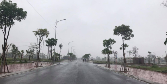 Bán lô đất dự án Tân Phú Hưng, TP Hải Dương, 67.5m2, mt 4.5m, hướng Tây, giá cực