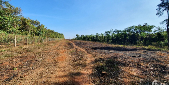 Bán đất thôn 3, Eakpam, CưMgar.