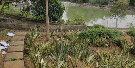 BÁN 3.5HA ĐẤT YÊN BÌNH THẠCH THẤT GIÁ 78 TỶ