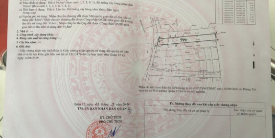 Tin được không! 147m² đất cực đẹp Q.12 giá 3.2 tỷ