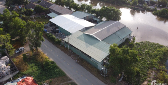 Cho thuê nhà xưởng A13/2 Mai Bá Hương, Lê Minh Xuân, Bình Chánh.