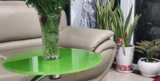 Nhà cho thuê nguyên căn full nội thất P6 Tân Bình