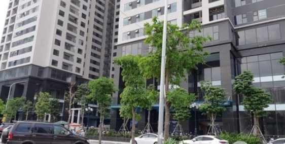 Chung cư Cầu Giấy – Lê Văn Lương, căn 108m2, 3 ngủ, 3.1 tỷ - 08,9968,9966