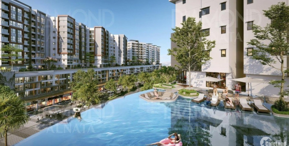 Bán căn 2PN Diamond Alnata tại khu đô thị Celadon