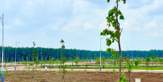 Bán đất nền dự án tại Phường Tân An Tầm nhìn quy hoạch phát triển đô thị