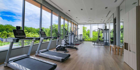 Khu Nhà Phố Biệt Lập The Standard Bình Dương