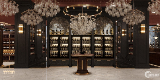 MẶT TIỀN TO NHẤT PHỐ TÂY SƠN 13.8m, Vỉa hè 7.5m Kinh doanh Cà phê lý tưởng