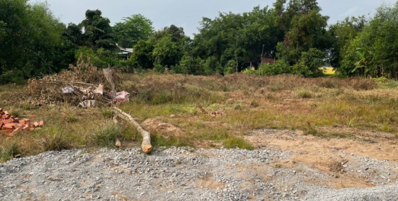 Đất có thổ cư gần chợ Phước Trạch,Gò Dầu,Tây Ninh, đất đường bê tông, SHR.