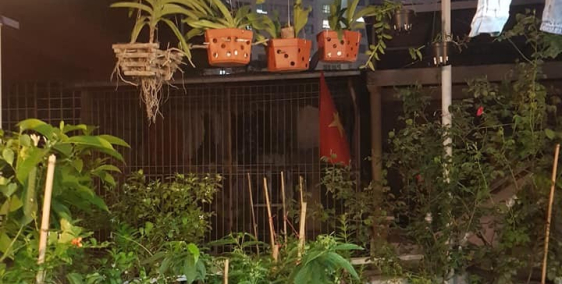 Nhất cận thị, nhị cận giang, lô góc, ở ngay, view công viên, 53.5m2, ô tô.