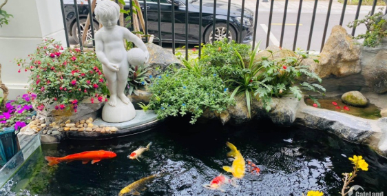 NHÀ TIỆN XÂY MỚI, DIỆN TÍCH LỚN - MT HÒA HƯNG