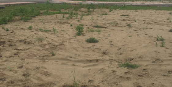 Đất Nền Dị chế - Tiên lữ - Hưng Yên ( Đã có sổ )