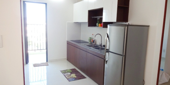 Cho thuê căn hộ chung cư XH2 KĐT VCN Phước Long