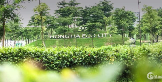 Hồng Hà Eco City xin thông báo, Chính thức mở bán tầng 3-8-16-19