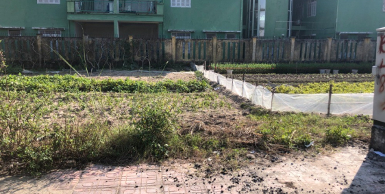 Bán đất Biệt thự khu 31ha Trâu Quỳ -258m2 gần vườn hoa Shophoues. 0982852808