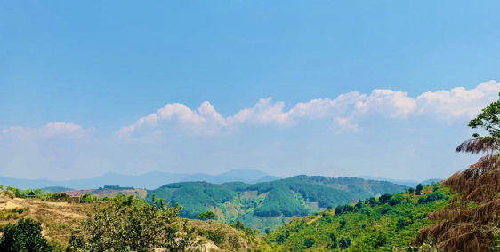 BÁN GẤP ĐẤT THỔ VƯỜN VEN ĐÀ LẠT