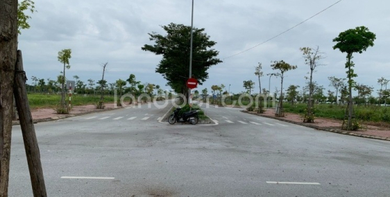 Bán đất tại TNR Star Tân Trường, Cẩm Giàng, Hải Dương, giá 1.3 tỷ