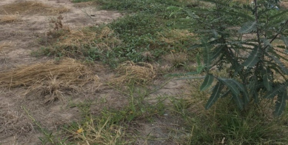 [ ĐẤT RẺ ]  Mặt tiền đường ĐT 830 - SHR - STCC