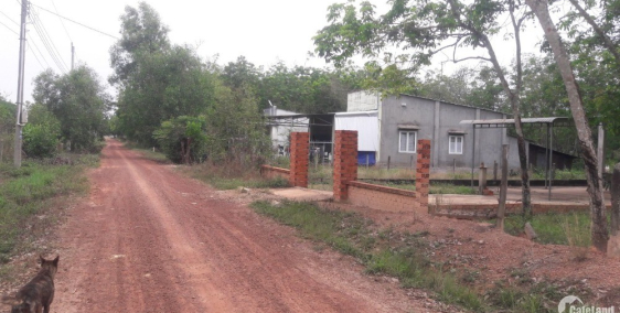 Cần bán gấp đất 1000m2 đường sỏi đỏ 7M điện 3pha dân cư đông gần chợ Minh Hòa