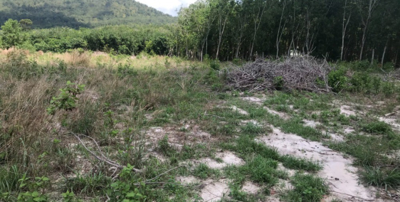 Lô đất vườn gần 2000m2 tại Xã Định An Dầu Tiếng Bình Dương