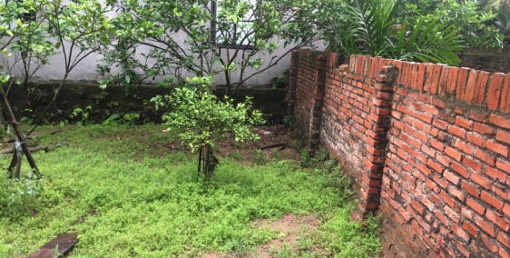 Bán 53m2 đất Gia Lâm, Kim Sơn, Hà Nội, chỉ 927 triệu.