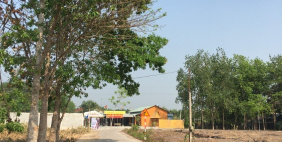 Ưu đãi duy nhất chỉ trong tuần này