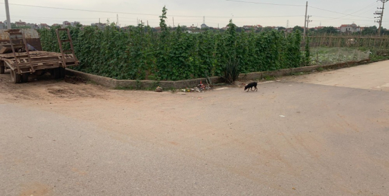 Chỉ 3xTr/m Nhà Bán 150M Đất Văn Giang, Mặt 12M, Nằm Tại Ngã Tư 3 Mặt Đường 9M