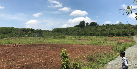 Bán đất nền tại Bình Phước giá 295 triệu/ 1000m2