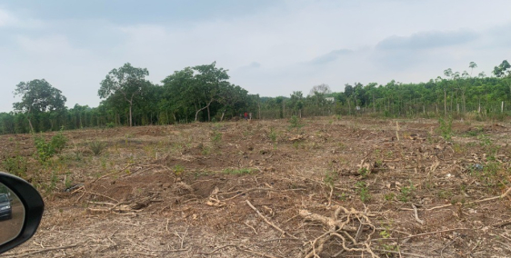 Đất Bình Phước giá hot chỉ 360 triệu/1000m2