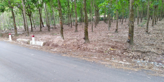 Bán đất xã Minh Thạnh, Dầu Tiếng, Bình Dương. Diện tích hơn 6HA. Mặt tiền đường