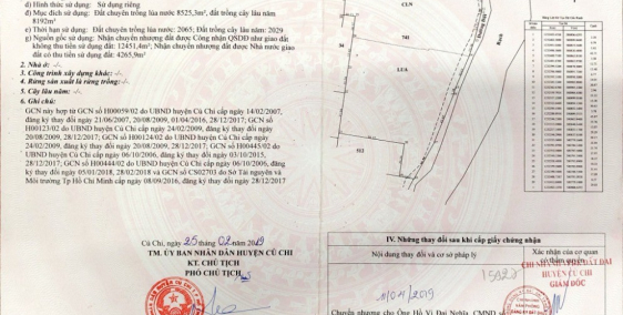 Cần bán đất Đất ven sông xã An Phú - Huyện Củ Chi - Tp. HCM