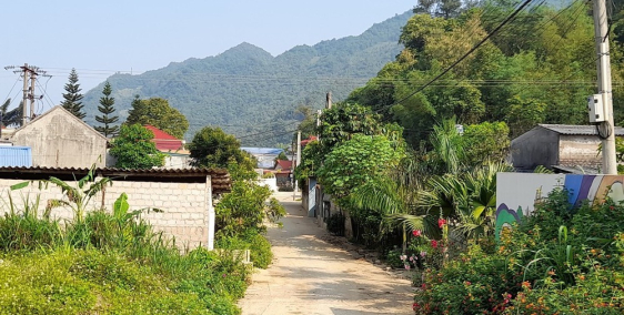 Chính chủ cần bán gấp lô đất 3678m2 tại đồi ông công - bản búa - đông sang - MC