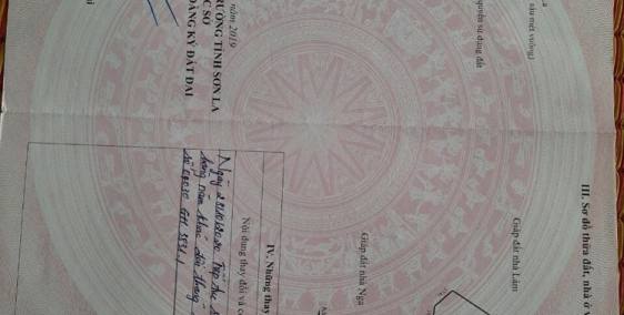 Chính chủ bán lô đất đối diện rừng thông bản áng , vườn dâu chimifarm 1,1hec - M